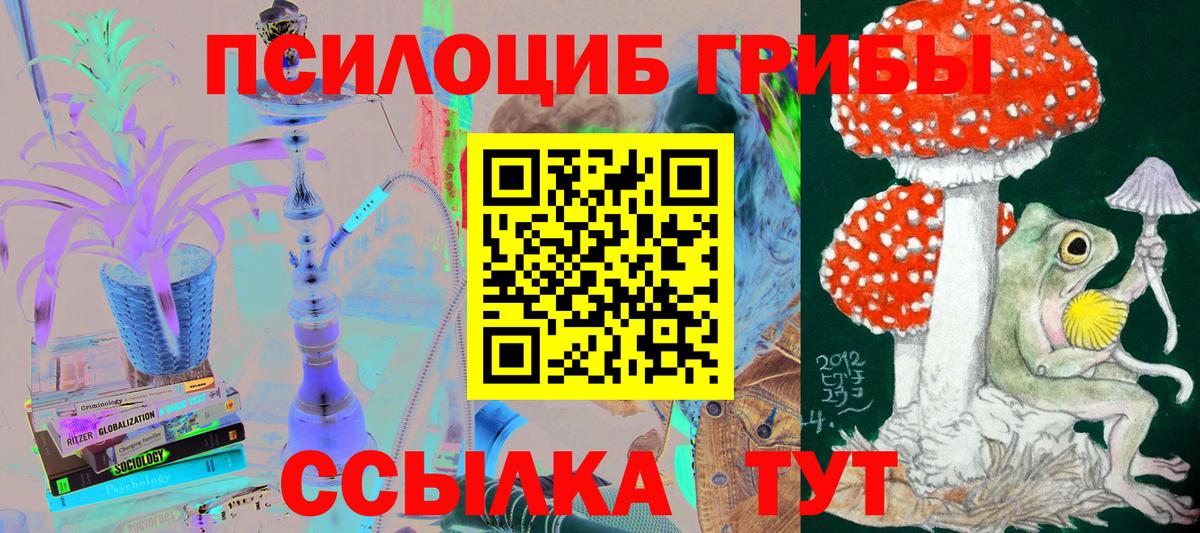Галлюциногенные грибы прущие грибы Шали