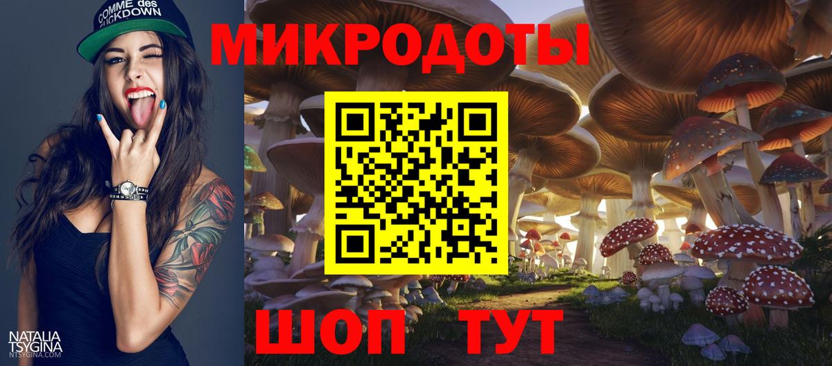 Псилоцибиновые грибы GOLDEN TEACHER  Галлюциногенные грибы Psilocybe  Вход с VPN  Шали 